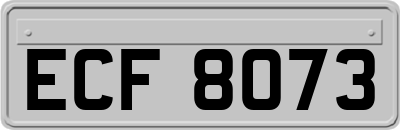 ECF8073