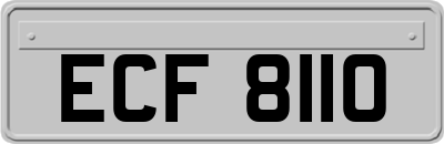 ECF8110