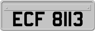 ECF8113