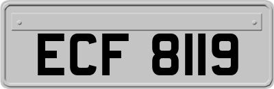 ECF8119
