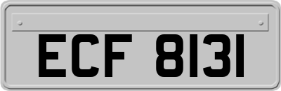 ECF8131