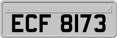 ECF8173