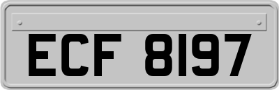 ECF8197