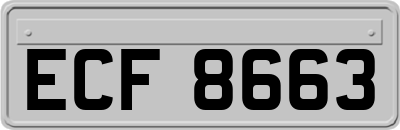 ECF8663
