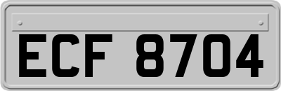 ECF8704