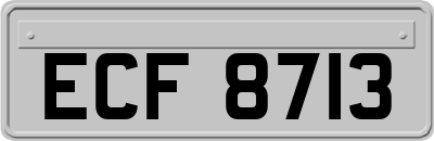 ECF8713
