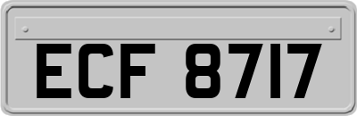 ECF8717