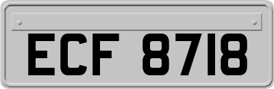 ECF8718