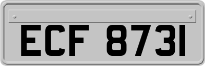 ECF8731