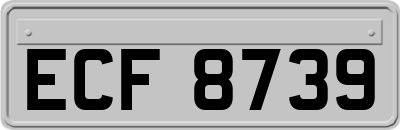 ECF8739