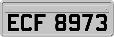 ECF8973