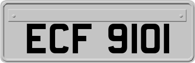 ECF9101