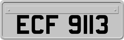 ECF9113