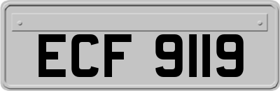 ECF9119