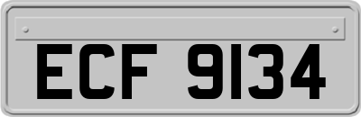 ECF9134