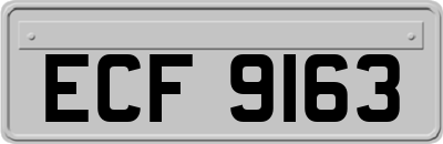 ECF9163