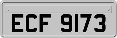 ECF9173