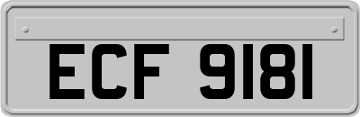ECF9181