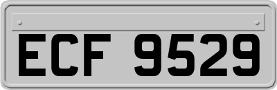 ECF9529