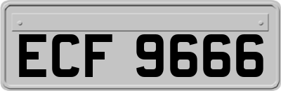 ECF9666