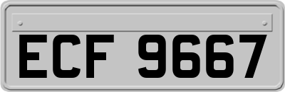 ECF9667