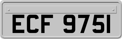 ECF9751