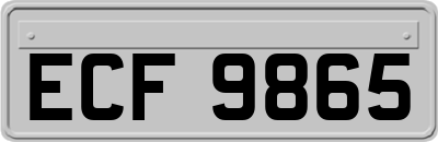 ECF9865