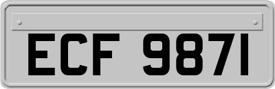ECF9871