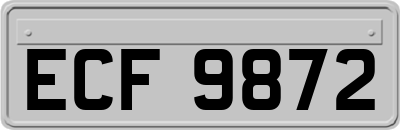 ECF9872