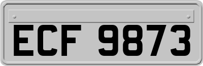 ECF9873
