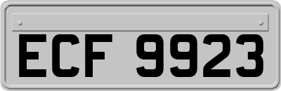 ECF9923