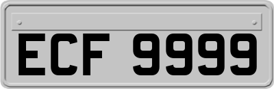 ECF9999