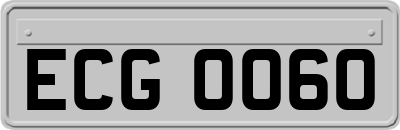 ECG0060