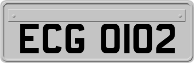 ECG0102