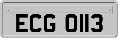 ECG0113