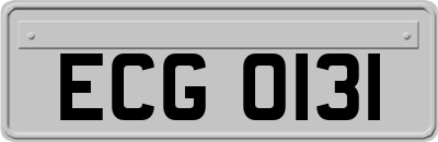 ECG0131