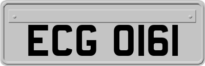 ECG0161