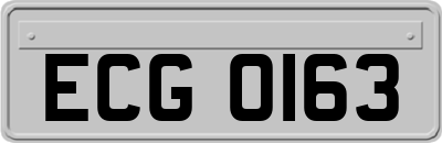ECG0163
