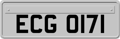 ECG0171