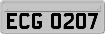 ECG0207