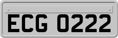 ECG0222