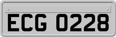 ECG0228
