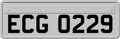 ECG0229