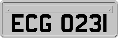 ECG0231