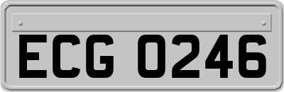 ECG0246