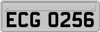 ECG0256