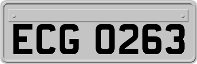 ECG0263