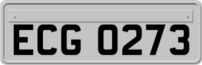 ECG0273