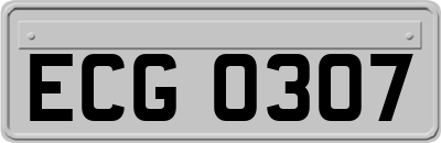 ECG0307