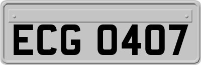 ECG0407